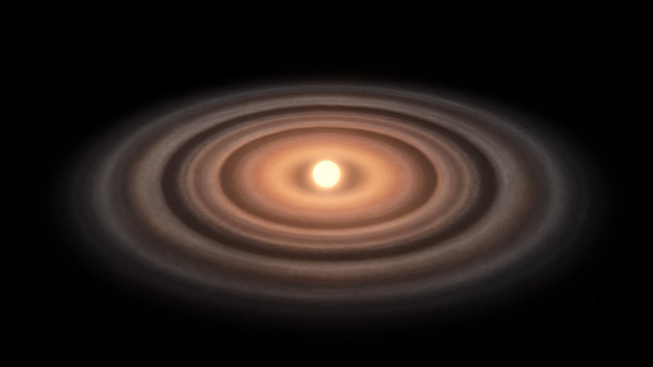 A protoplanetary disk of rings and gaps surrounding a young star